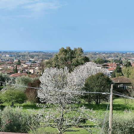 Casa Bianca Villa Pietrasanta Bagian luar foto