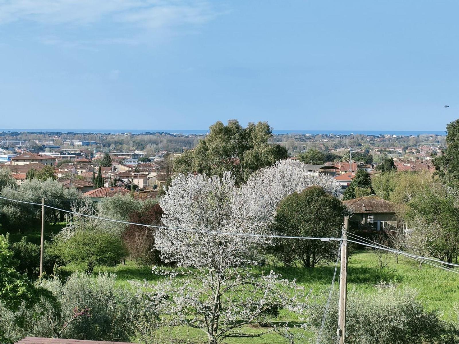 Casa Bianca Villa Pietrasanta Bagian luar foto